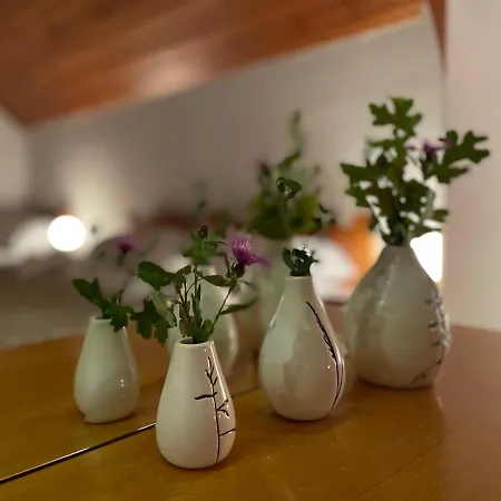 Apartma As 아파트 포드체트르테크