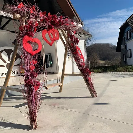 Apartma As * Podčetrtek